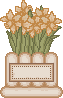 spring_potdaflbl.gif (2344 bytes)