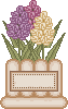 spring_pothyaclbl.gif (2422 bytes)