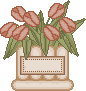 spring_pottulippinklbl.gif (2512 bytes)
