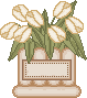 spring_pottulipwhitelbl.gif (2454 bytes)