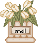 spring_pottulipwhitemail.gif (2502 bytes)