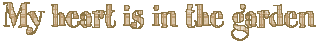 spring_sgnmhitg.gif (2485 bytes)