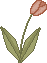 spring_tulip1pa.gif (1292 bytes)