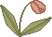 spring_tulip2pa.gif (1266 bytes)