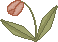 spring_tulip2pb.gif (1270 bytes)