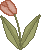 spring_tulip3pa.gif (1247 bytes)