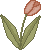 spring_tulip3pb.gif (1244 bytes)