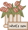 spring_whatsnew.gif (2702 bytes)